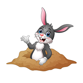 لا توجد صورة