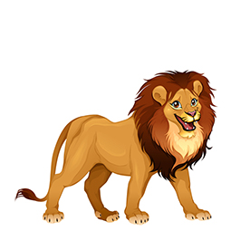 لا توجد صورة