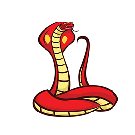 لا توجد صورة