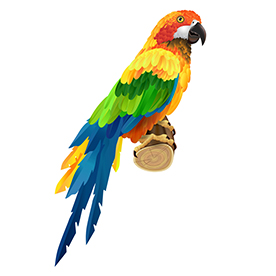 لا توجد صورة