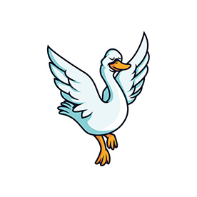 لا توجد صورة