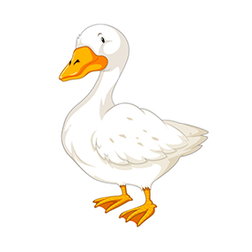 لا توجد صورة