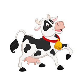 لا توجد صورة