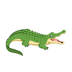 لا توجد صورة