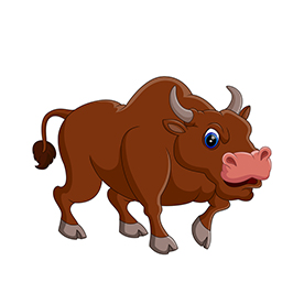 لا توجد صورة