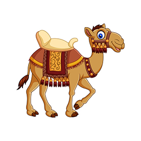 لا توجد صورة