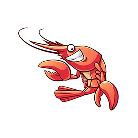 لا توجد صورة