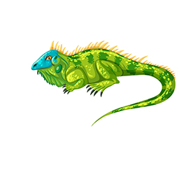 لا توجد صورة