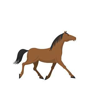 لا توجد صورة