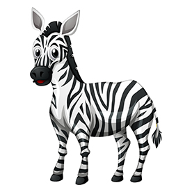 لا توجد صورة