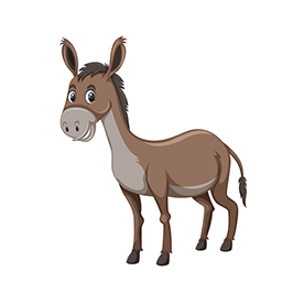 لا توجد صورة