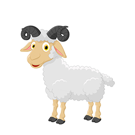 لا توجد صورة