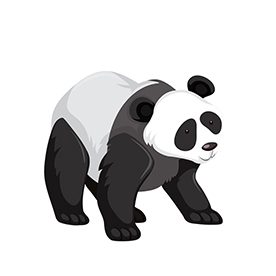 لا توجد صورة