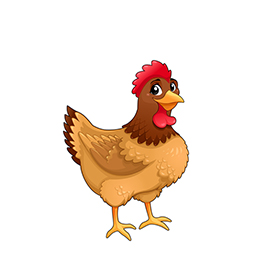 لا توجد صورة