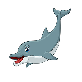 لا توجد صورة