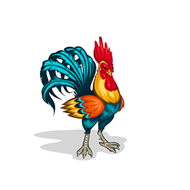 لا توجد صورة