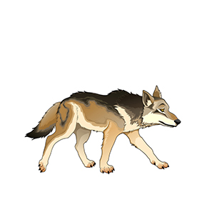 لا توجد صورة