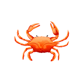 لا توجد صورة