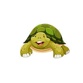 لا توجد صورة