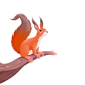 لا توجد صورة