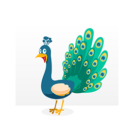 لا توجد صورة