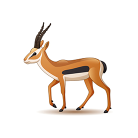 لا توجد صورة