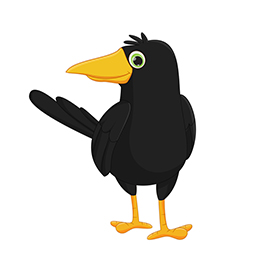 لا توجد صورة