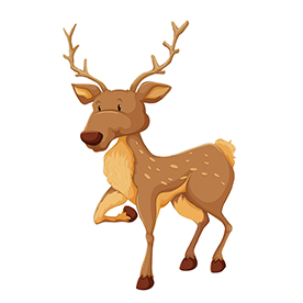 لا توجد صورة