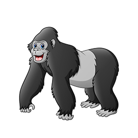 لا توجد صورة