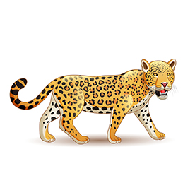 لا توجد صورة