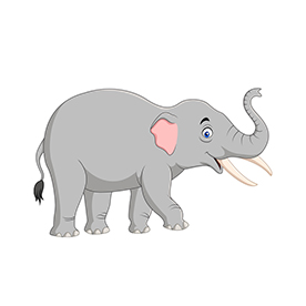 لا توجد صورة