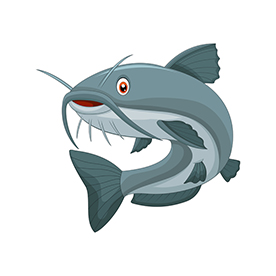 لا توجد صورة