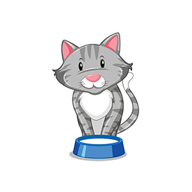 لا توجد صورة