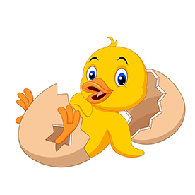 لا توجد صورة