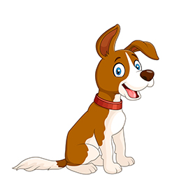 لا توجد صورة