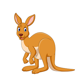 لا توجد صورة