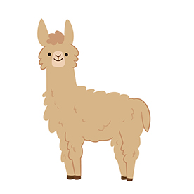 لا توجد صورة