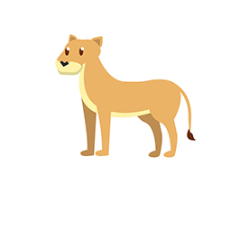 لا توجد صورة