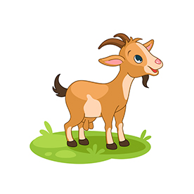 لا توجد صورة