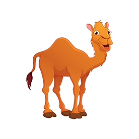 لا توجد صورة