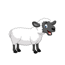 لا توجد صورة