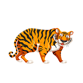 لا توجد صورة