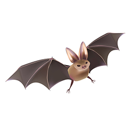 لا توجد صورة