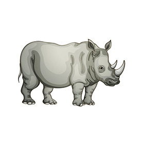 لا توجد صورة